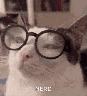 Plink Nerd GIF