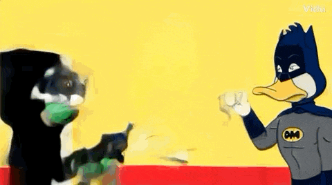 Pons Duckmaster GIF