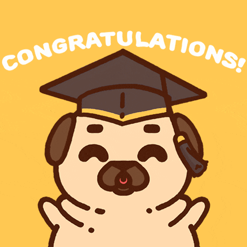 Puglie Pug GIF