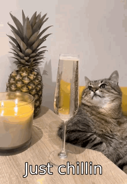 Rest Drink GIF