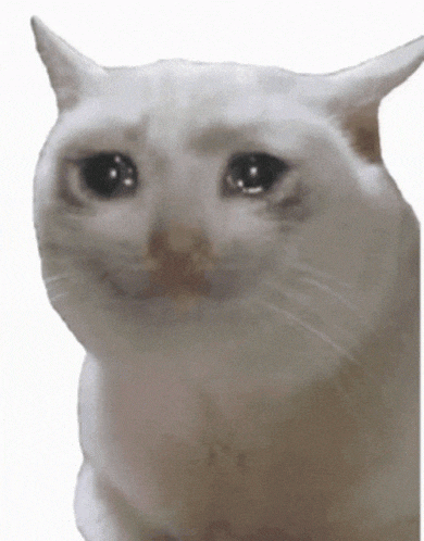 Sad Cat Crying GIF