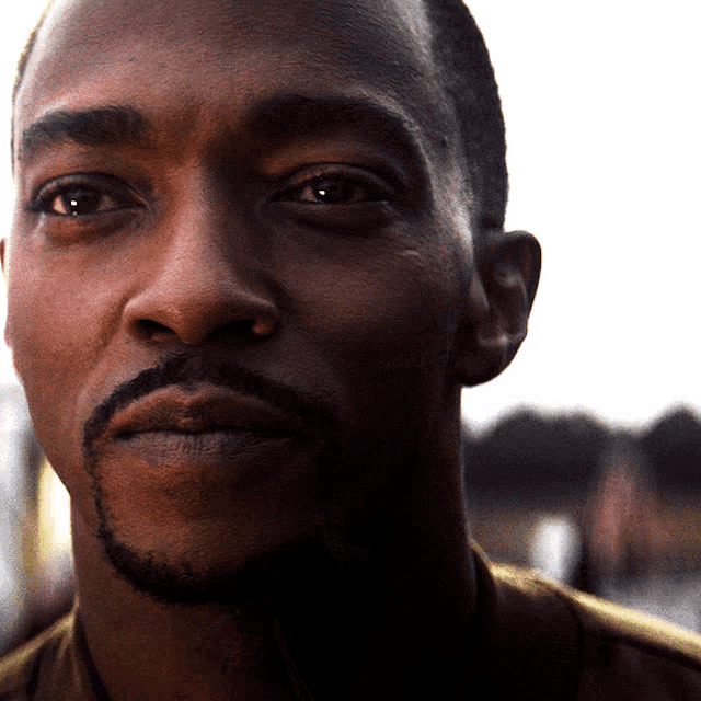 Sam Wilson Anthony Mackie GIF