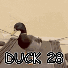 Seed Squad GIF
