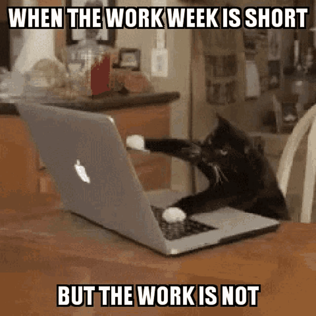 Short Work Week GIF