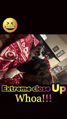Silly Me GIF