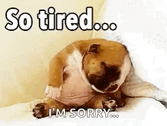 So Tired Sleepy GIF
