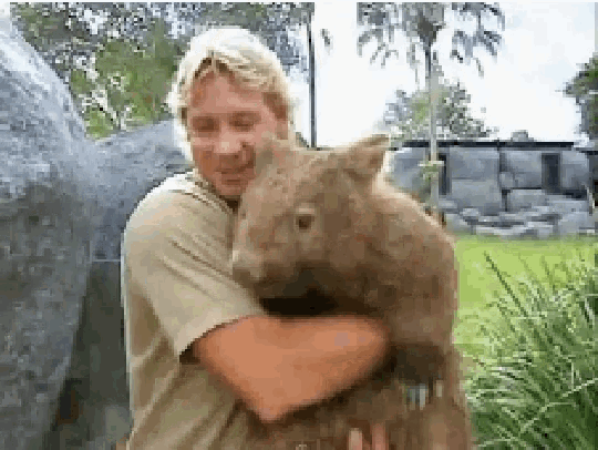 Steve Irwin GIF