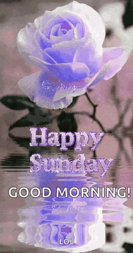 Sunday Blessings GIF