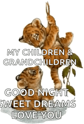 Tiger Baby Animal GIF