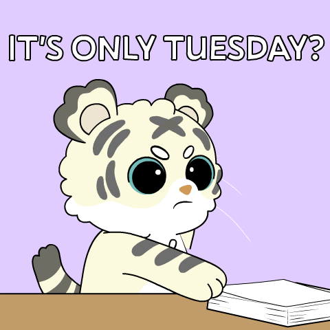 Tuesday Mood GIF