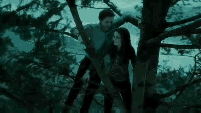 Twilight GIF