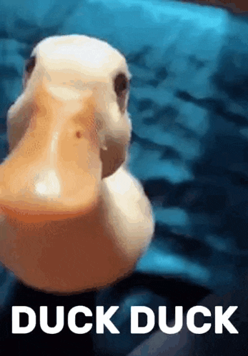 Utka Utka Ah Ah GIF