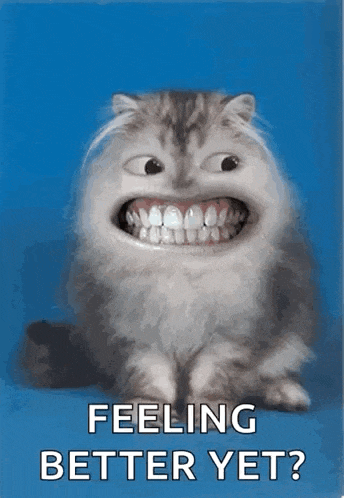 Whatever Cat GIF