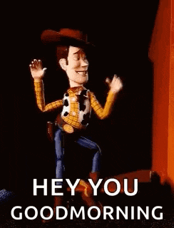 Woody Toy Story GIF
