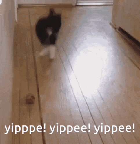 Yippee GIF