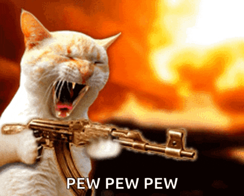 Ot Movie Cat GIF