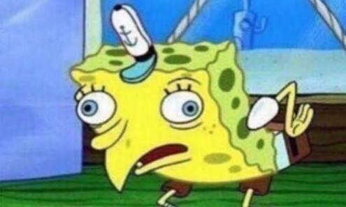 Spongebob Bird Meme Template