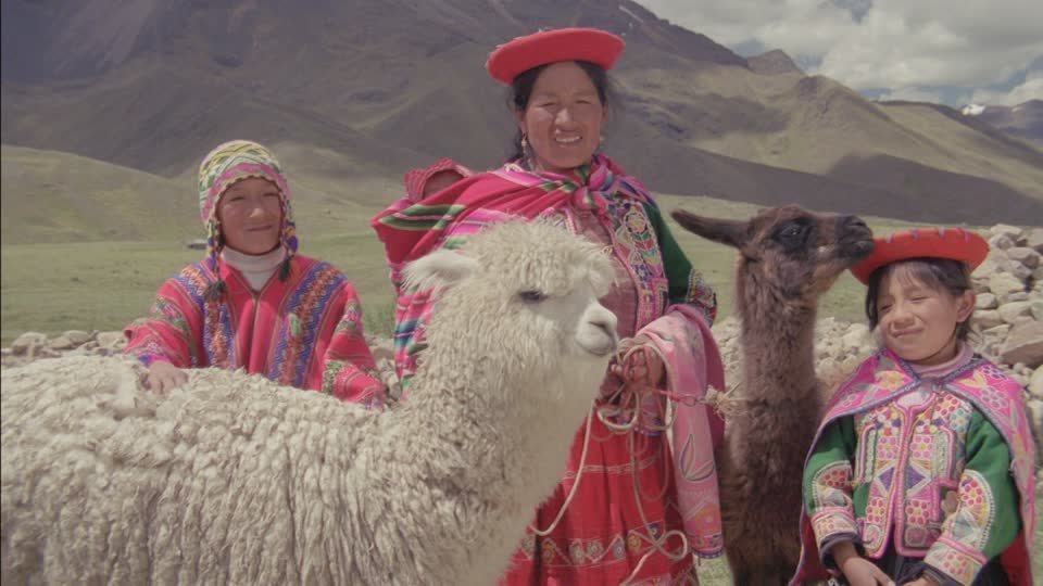 Peru Meme Template Download