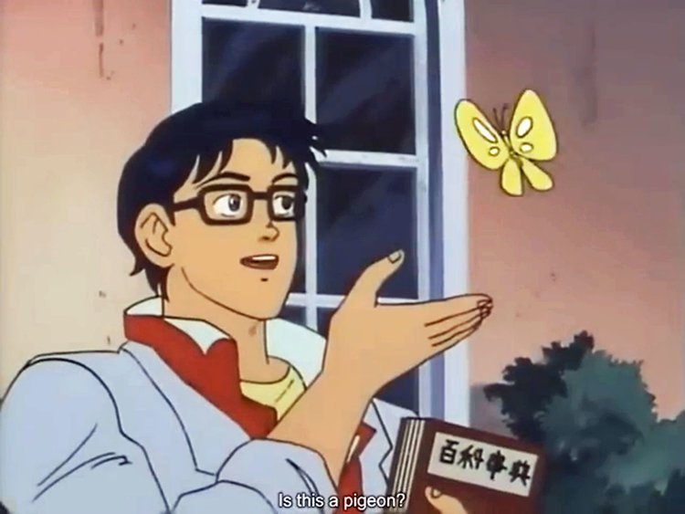 Butterfly Meme Template