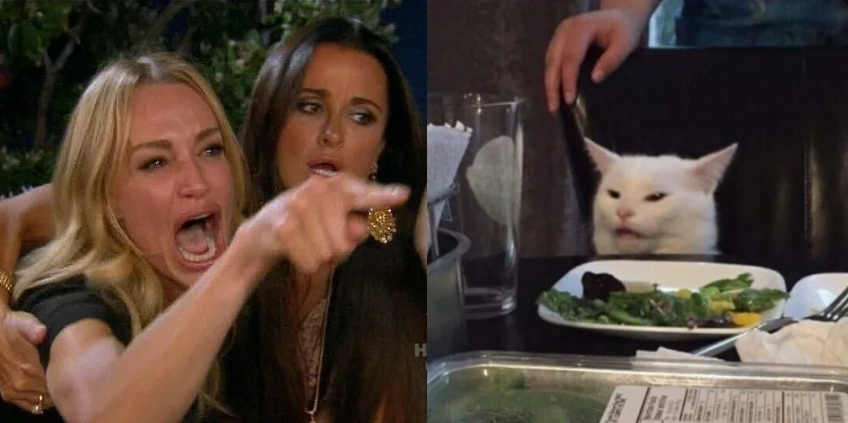 Two Girls Cat Zeeks Meme Template