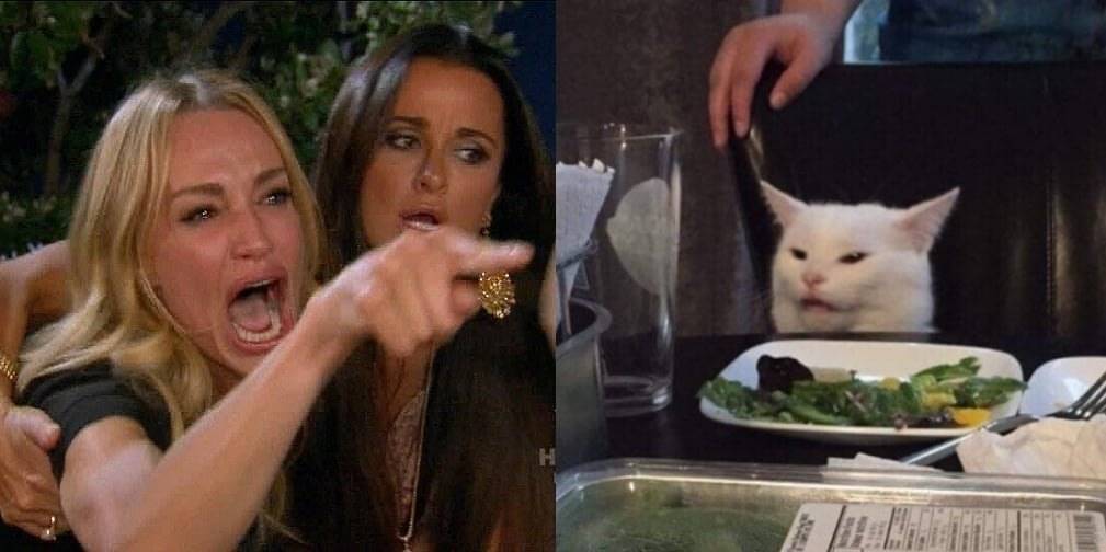 Cat a Dinner Table Meme Template