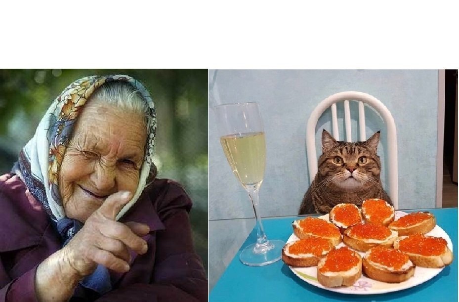 Babushka Winking at Cat Meme Template