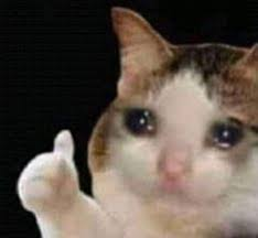 Sad Cat Meme Template