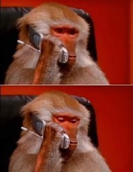 Monkey With Phone Meme Template