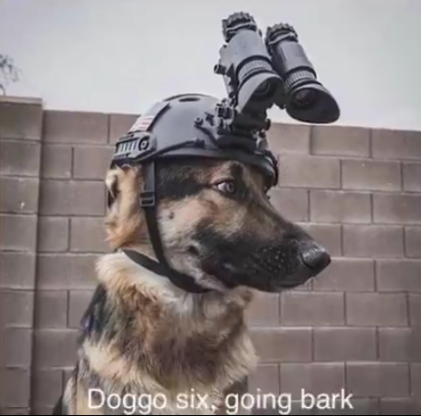 Doggo Six Going Bark Meme Template