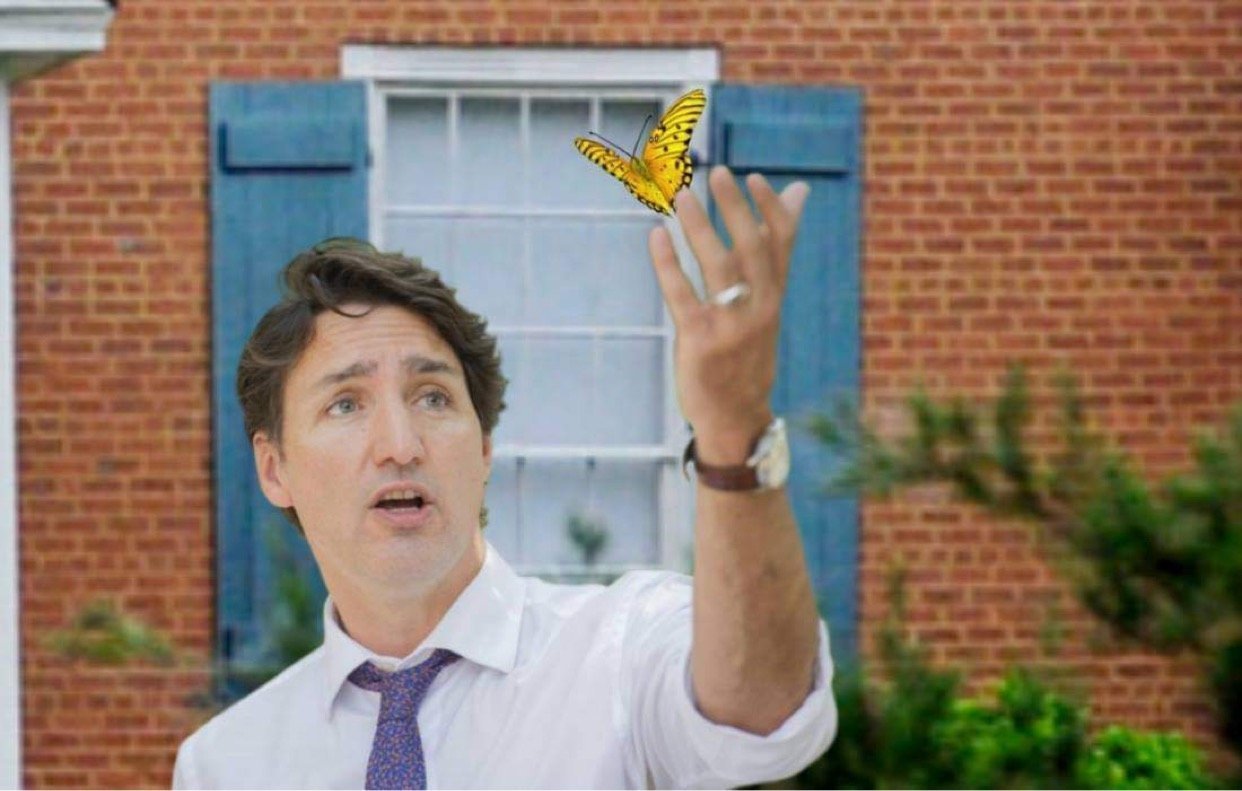 Butterfly Meme Template Download