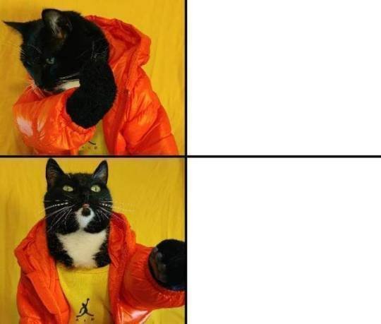 Black Cat Drake Meme Template