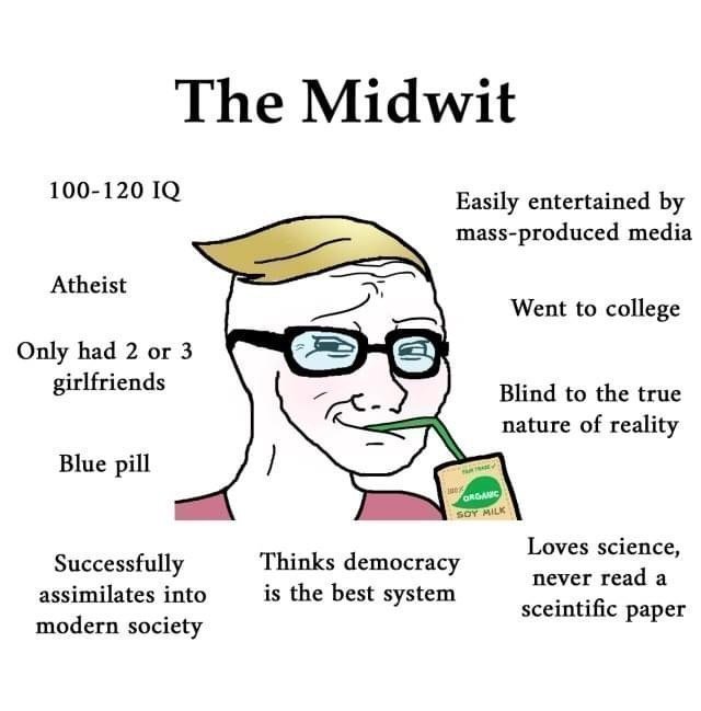 The Midwit Meme Template