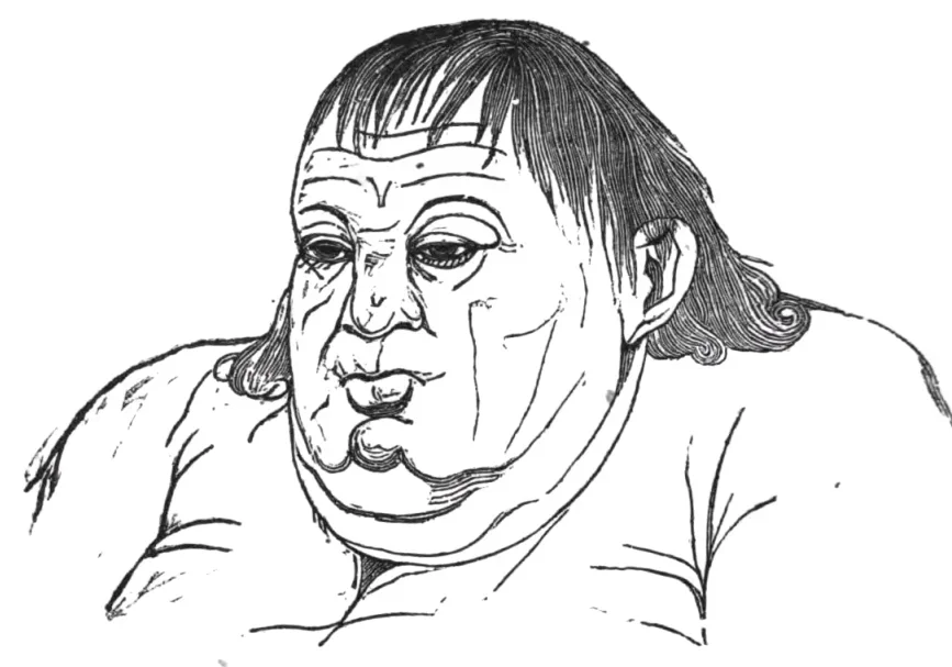 Typical Leftist Troll Meme Template