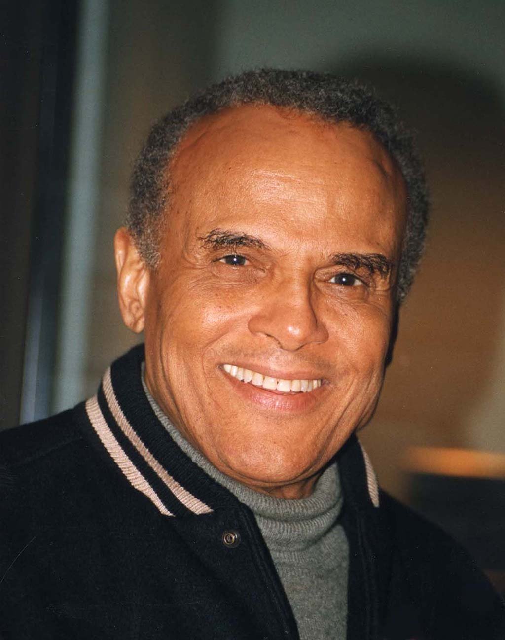 Harry Belafonte Meme Template