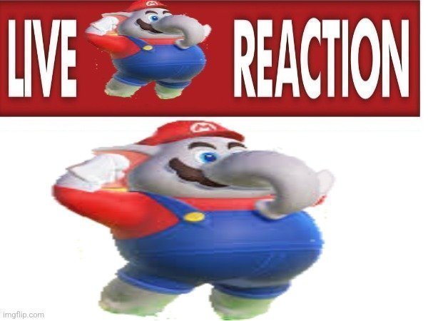 Live Elephant Reaction Meme Template