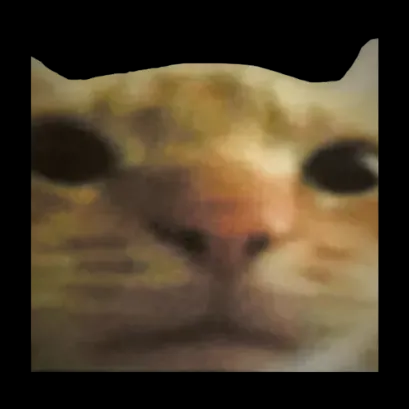 Cat Meme Template