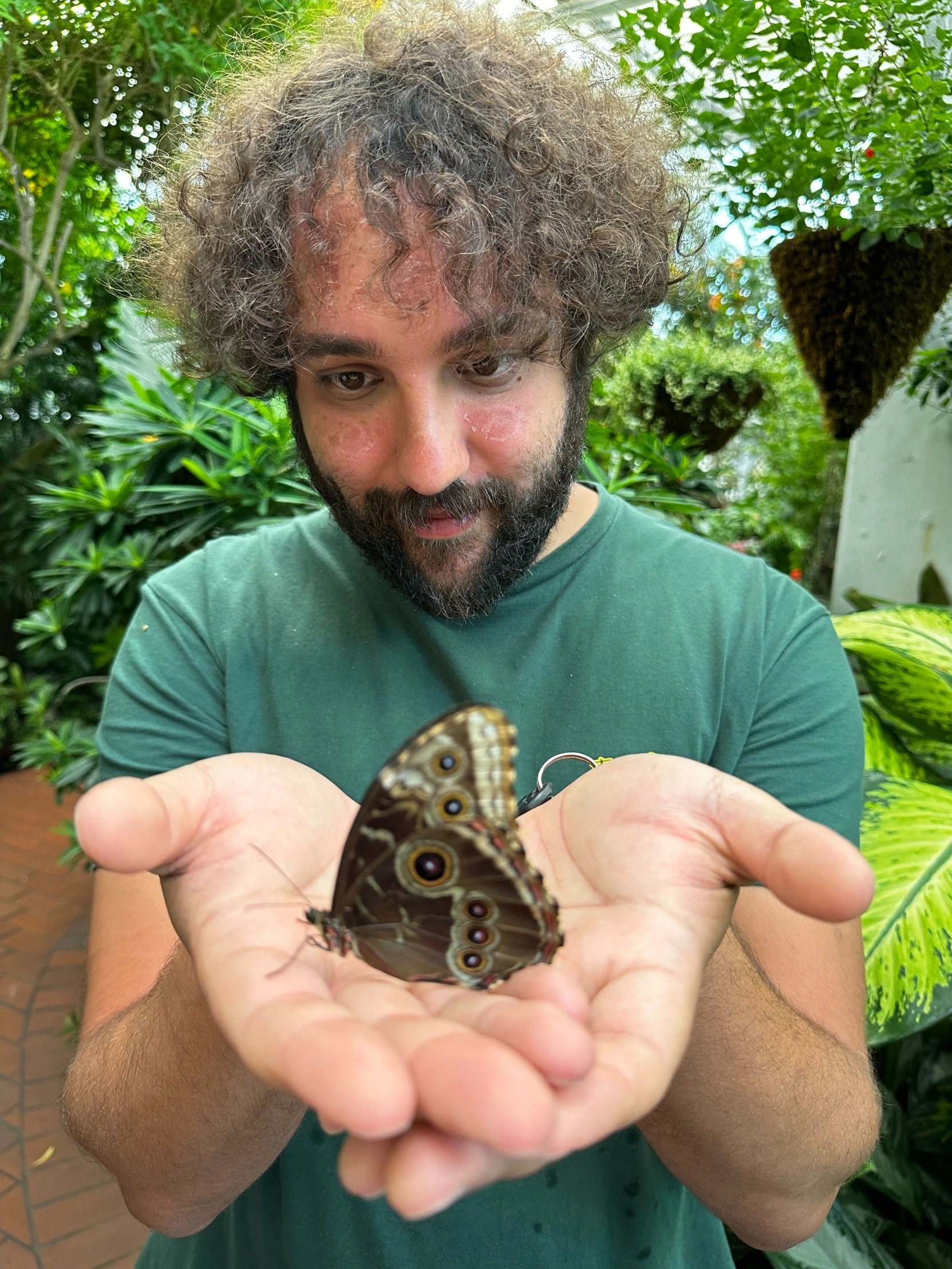 Moody Is This A Butterfly Meme Template
