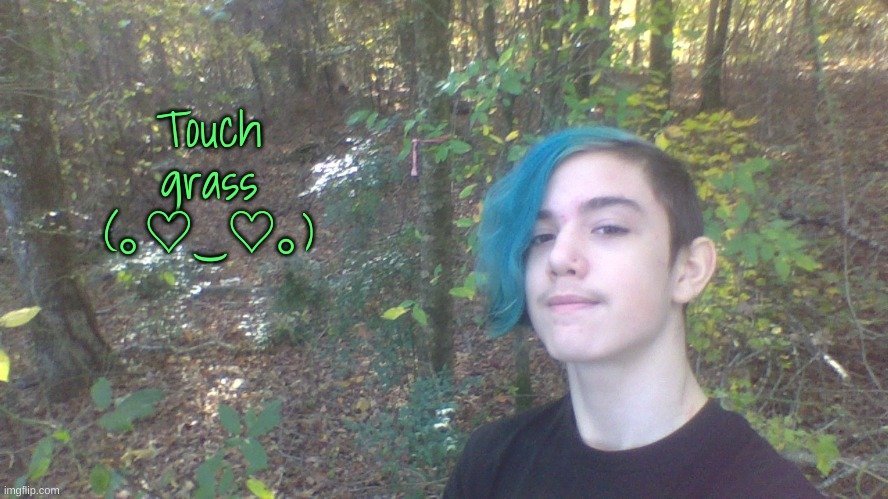 Touch Grass Meme Template