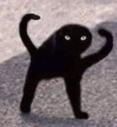 Black Cat Meme Template