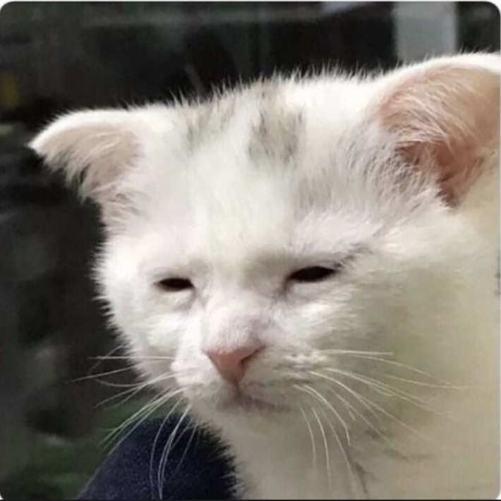 Awake But At What Cost Meme Template