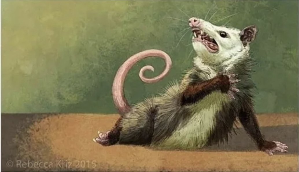 Actor Opossum Meme Template