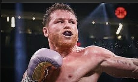 Canelo Template