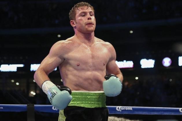 Canelo Meme Template