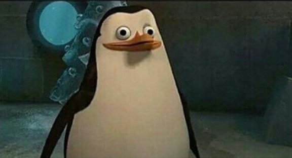 Confused Private Penguin Meme Template