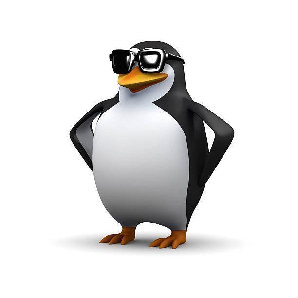 Cool Penguin Meme Template