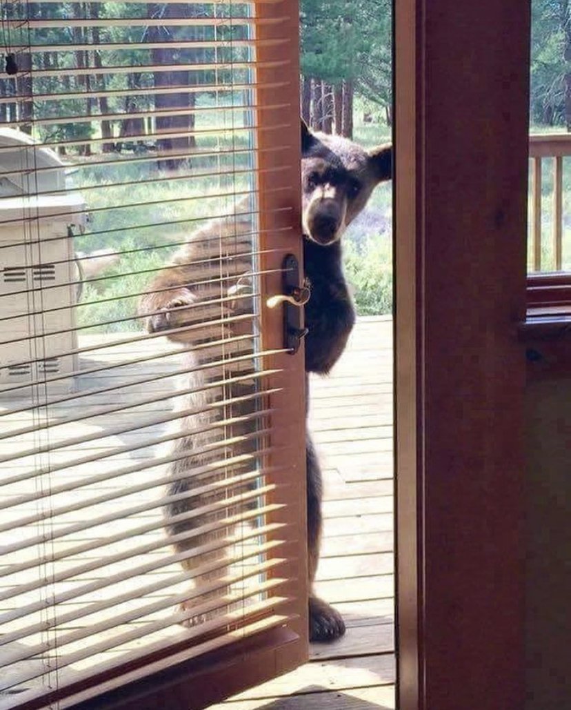 Excuse Me Meme Template