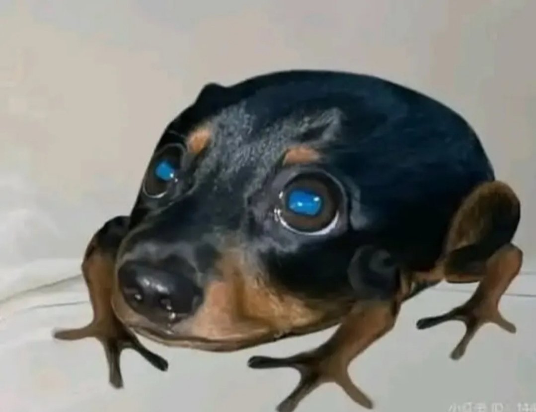 Frogger Dog Meme Template