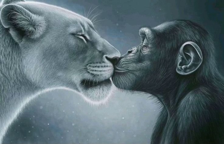 Kiss Bait Meme Template