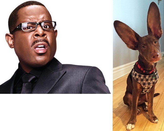 Martin Lawrence Meme