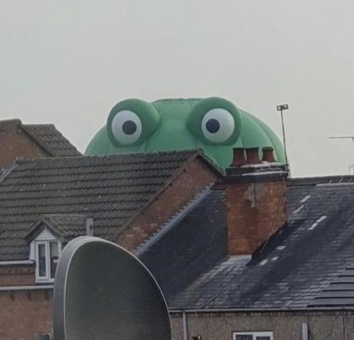 Peeping Frog Meme Template